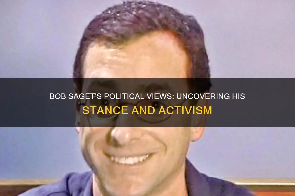 is bob saget political
