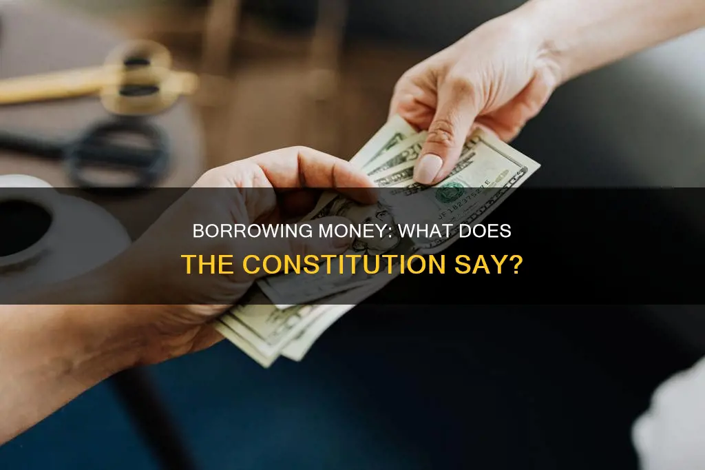 is borrow money is expressed in the constitution