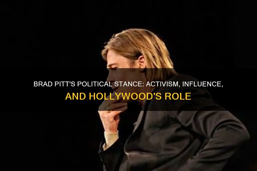 is brad pitt political