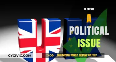 Brexit: A Political Issue or Economic Dilemma for the UK?