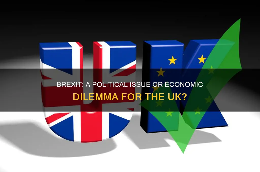 is brexit a political issue