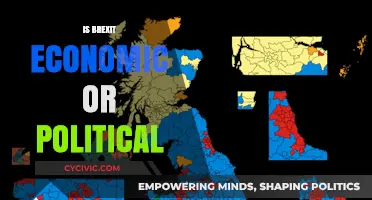 Brexit's Dual Nature: Unraveling Economic and Political Implications