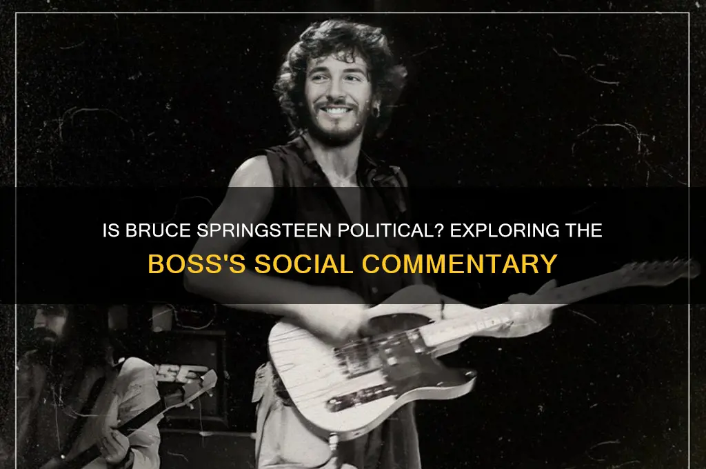 is bruce springsteen political