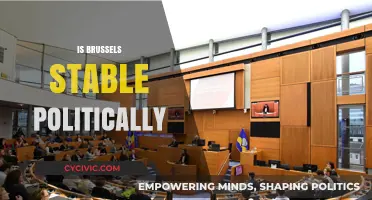 Brussels' Political Stability: A Comprehensive Analysis of Current Dynamics