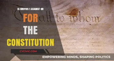 Exploring Brutus 1: Constitution Friend or Foe?