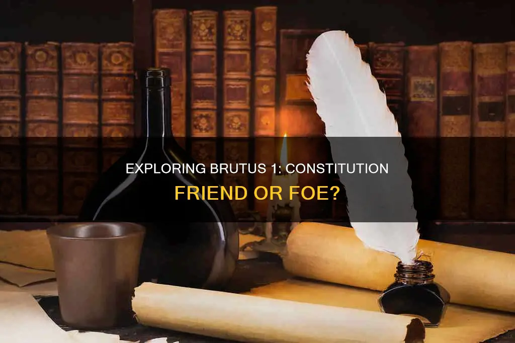 is brutus 1 against or for the constitution