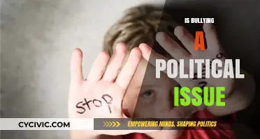 Is Bullying a Political Issue? Exploring the Intersection of Power and Policy