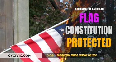 Flag Burning: Free Speech or a Crime?