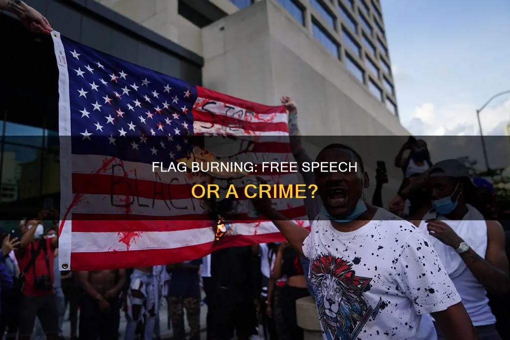 is burning the us flag within the constitution
