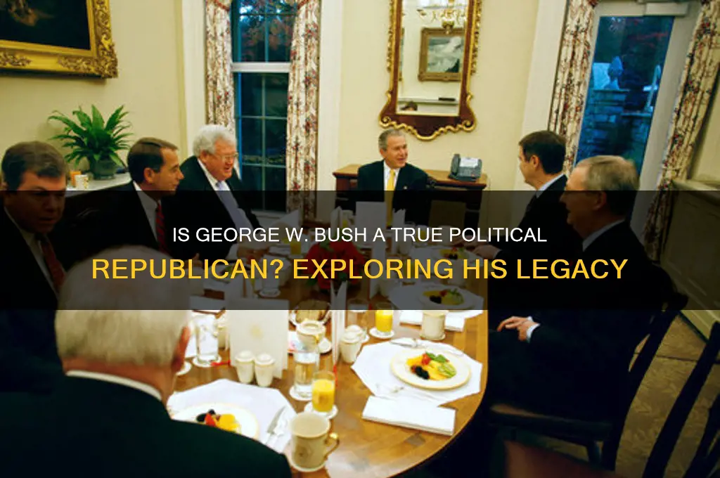 is bush a political republican