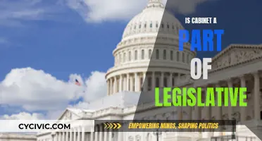 Cabinet's Place in the Legislative Branch: Explained
