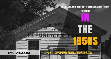 The Rise of the Anti-Slavery Political Party in the 1850s