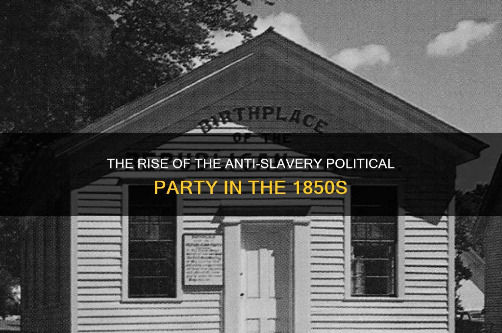 is calledanti slavery political party that formed in the 1850s