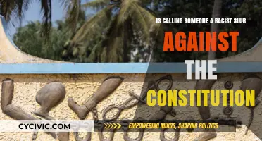 Racist Slurs: Protected Speech or Unconstitutional?