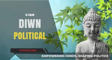 Is Calm Down Political? Exploring the Intersection of Mindfulness and Politics