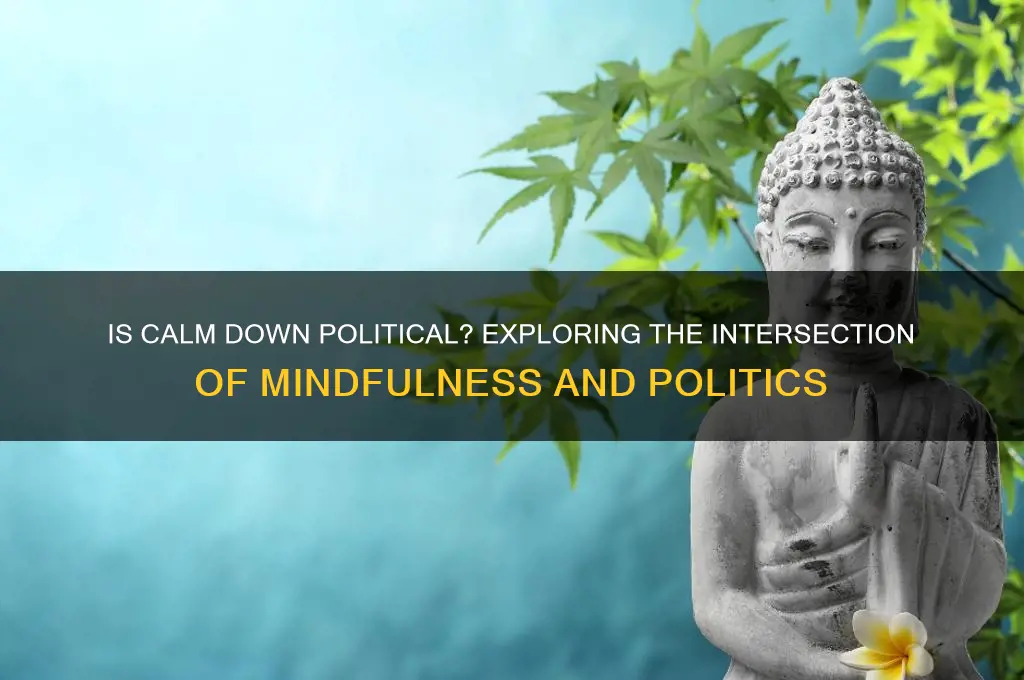 is calm diwn political