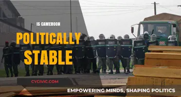 Cameroon's Political Stability: Challenges, Progress, and Future Prospects