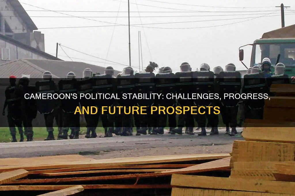 is cameroon politically stable