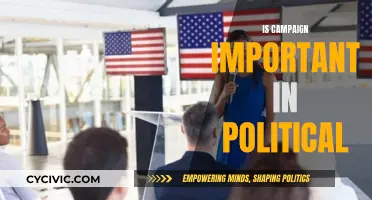 Campaigns: Political Success or Failure?