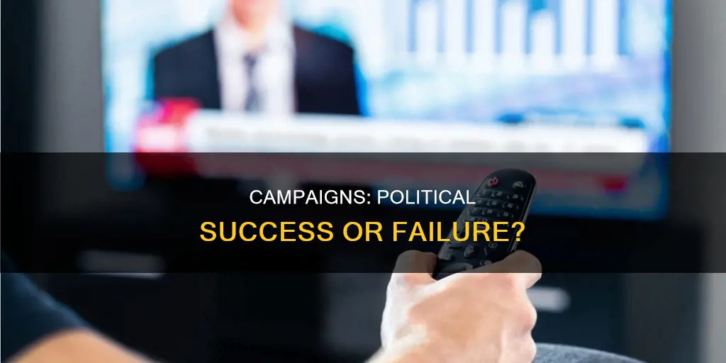 is campaign important in political
