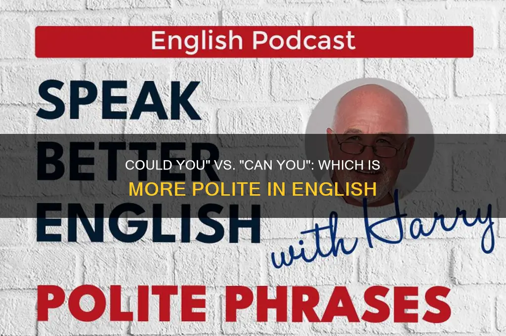 is can you or could you more polite