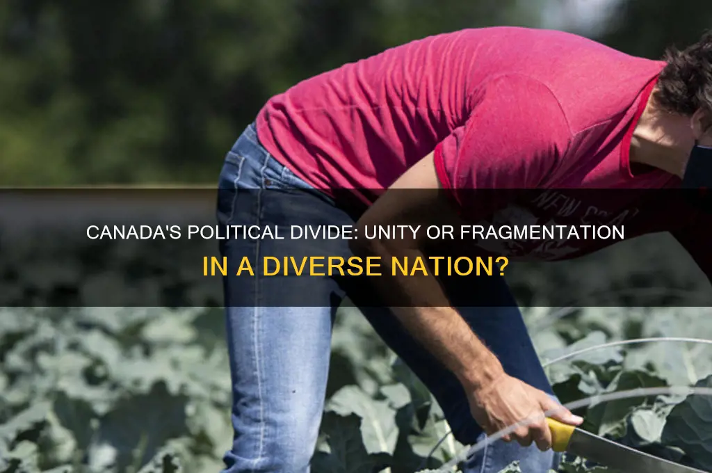 is canada politically divided
