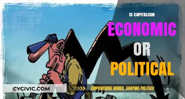 Capitalism's Dual Nature: Economic System or Political Power Structure?