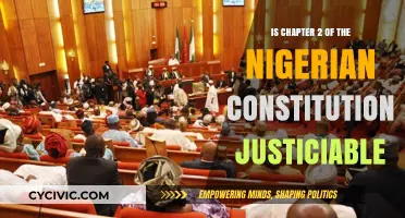 The Nigerian Constitution's Chapter 2: Enforceable or Not?