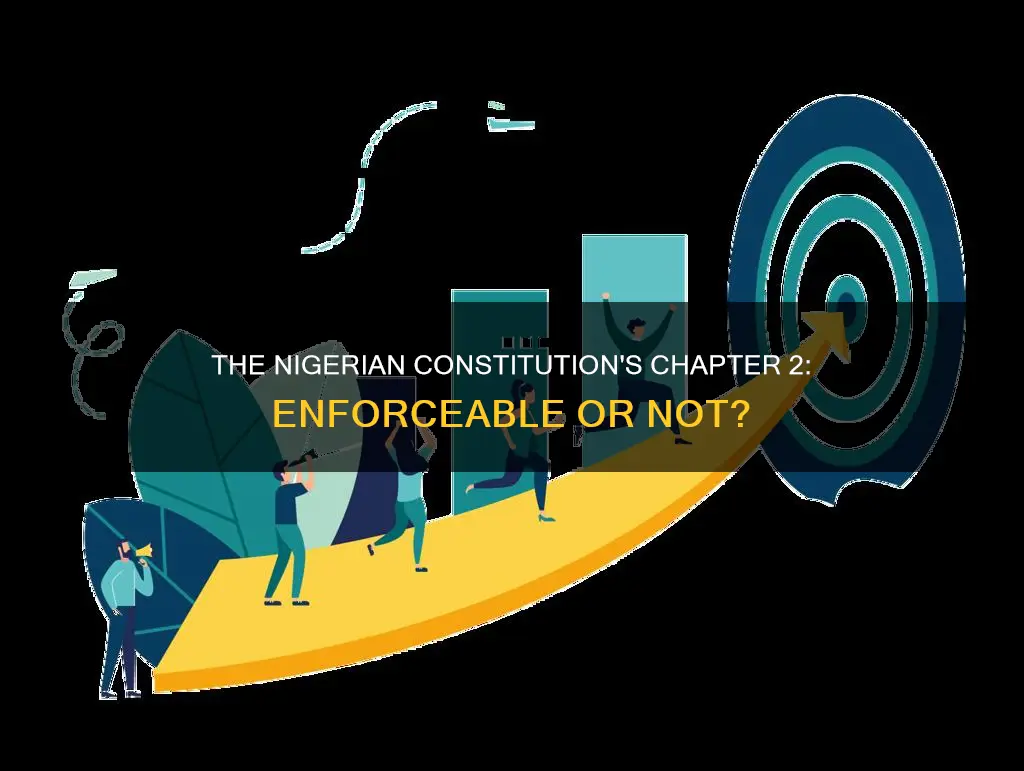 is chapter 2 of the nigerian constitution justiciable