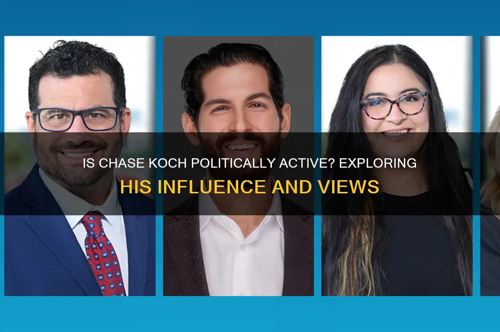 is chase koch political