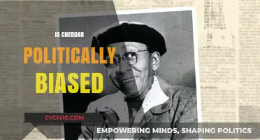 Is Cheddar Politically Biased? Analyzing Its News Coverage and Perspective