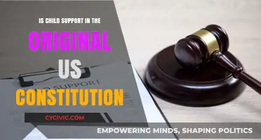 Child Support: A Constitutional Conundrum