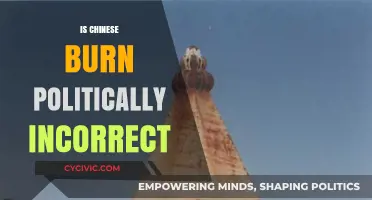 Is 'Chinese Burn' Offensive? Exploring Cultural Sensitivity and Language