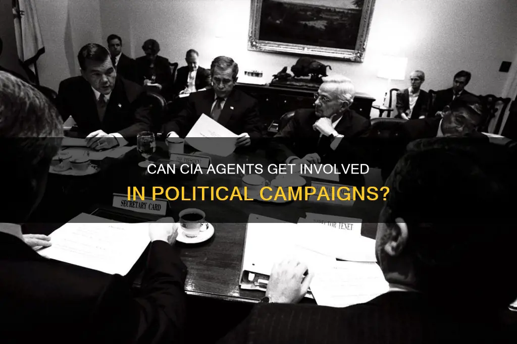 is cia agent allowed to contribute to a political campaign