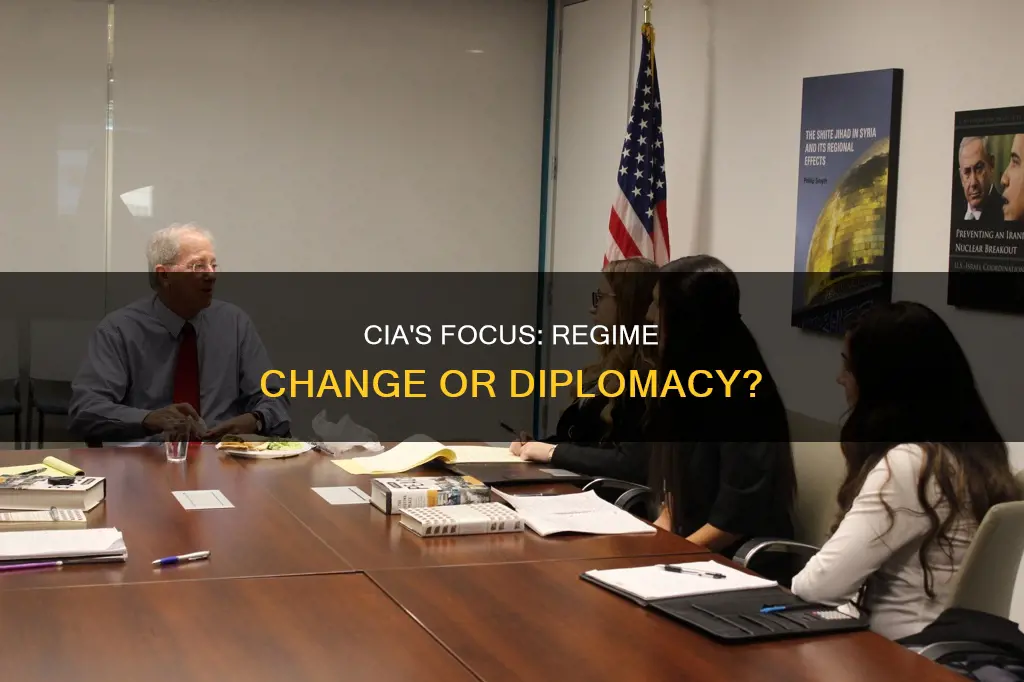 is cia regime change or diplomacy focused