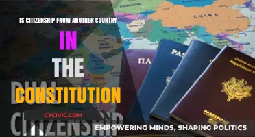 Citizenship and the Constitution: Global Rights?