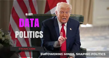 Urban Data Governance: Navigating the Intersection of Politics and City Analytics