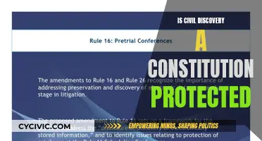 Civil Discovery: A Constitutional Right or Privilege?