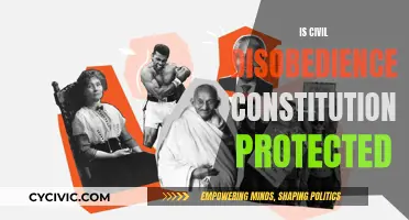 Civil Disobedience: A Constitutional Right or Wrong?