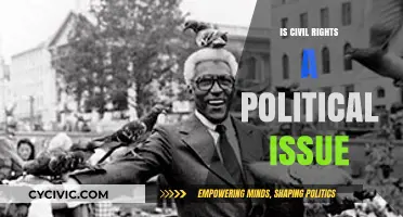 The Intersection of Civil Rights and Politics: A Complex Exploration