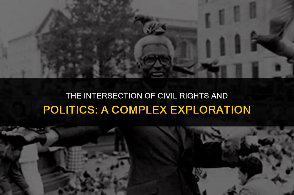 is civil rights a political issue
