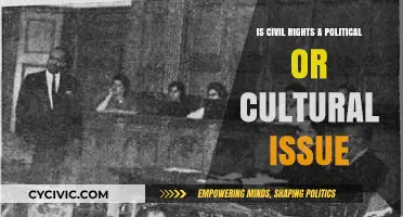 Debating Civil Rights: A Political or Cultural Issue?