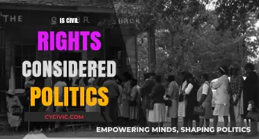 Exploring the Intersection of Civil Rights and Politics