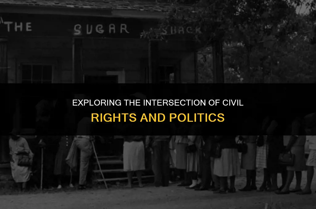 is civil rights considered politics