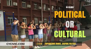 Class Divide: A Political Construct or Cultural Phenomenon?