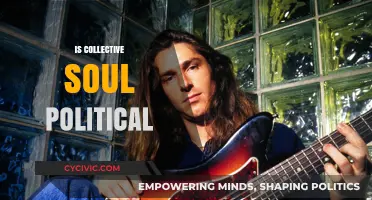 Is Collective Soul Political? Analyzing Their Lyrics and Stance