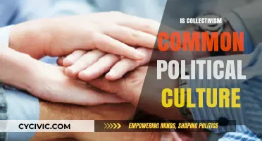 Collectivism in Politics: A Common Cultural Framework or Rare Ideal?