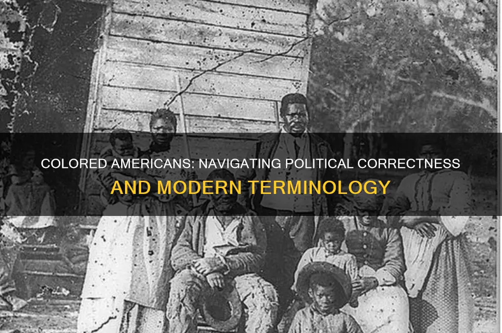 is colored americans politically incorrect