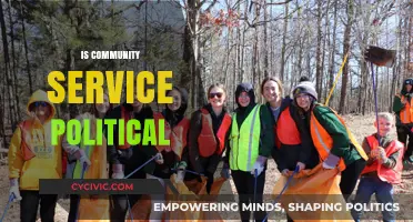 Is Community Service Political? Exploring the Intersection of Service and Politics