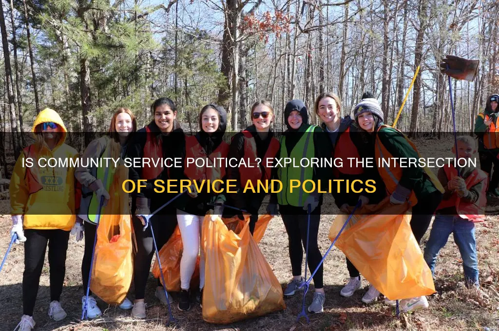 is community service political
